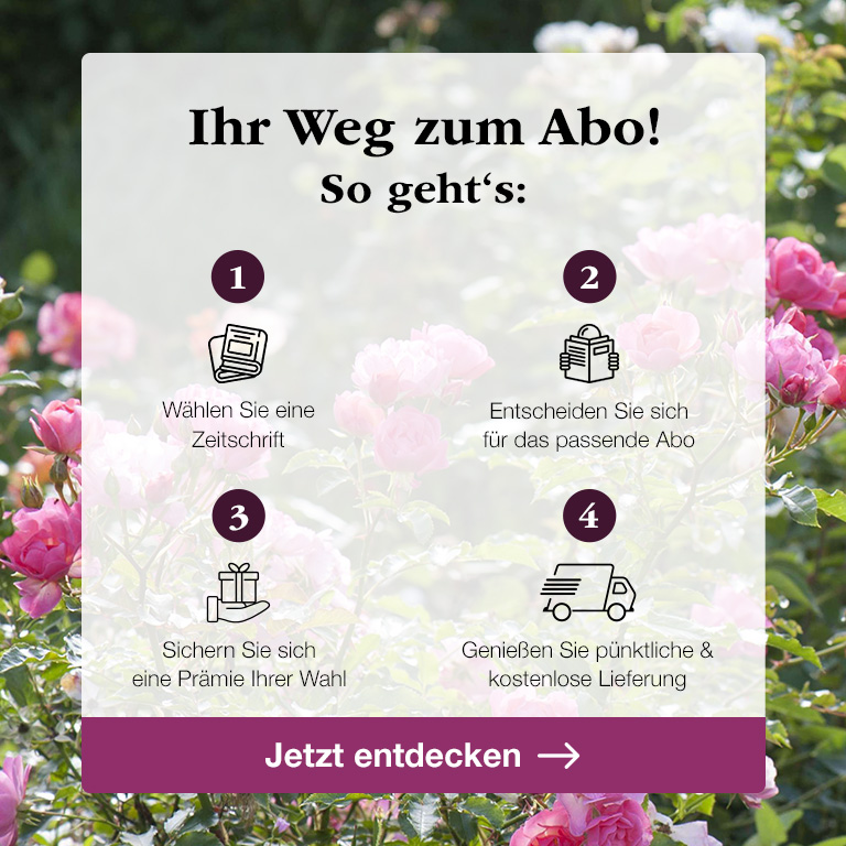 Ihr Weg zum Abo - So gehts!