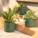 Pflanzkorb "Green" 3er Set