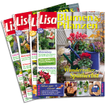 4 Ausgaben Lisa Blumen & Pflanzen