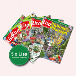 5 Ausgaben Lisa Blumen & Pflanzen 