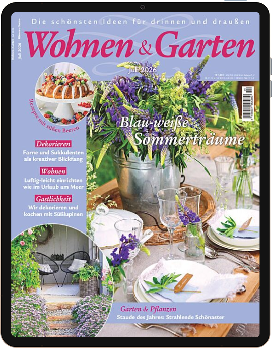 Einzelheft BUNTE Digital